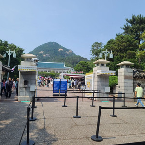 유튜브 계정 700~1000명 비수창 채널 삼.