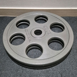 (택포) 20KG * 2장 중량 원판 바벨 플레이트