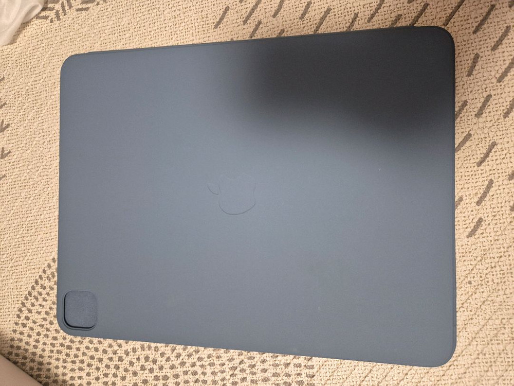 쿨거시 네고) 아이패드프로 13 M4 256 실버셀룰러 이미지