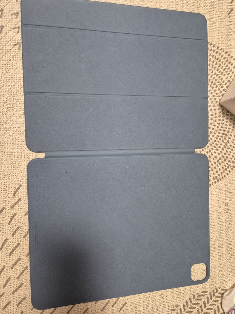 쿨거시 네고) 아이패드프로 13 M4 256 실버셀룰러 이미지