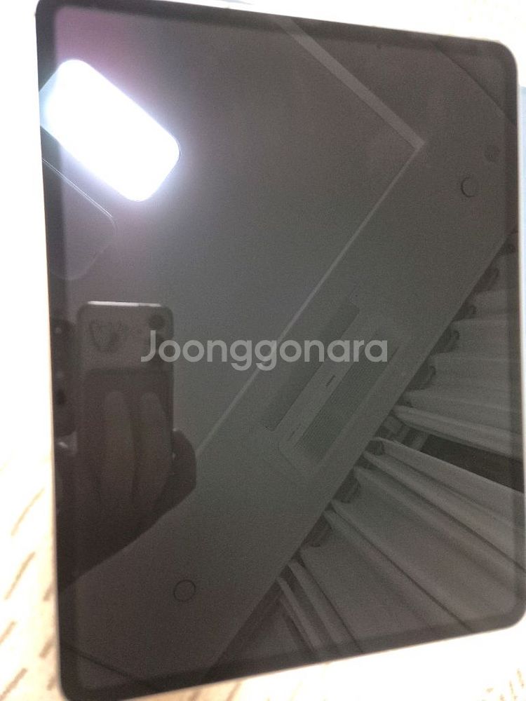 쿨거시 네고) 아이패드프로 13 M4 256 실버셀룰러--9