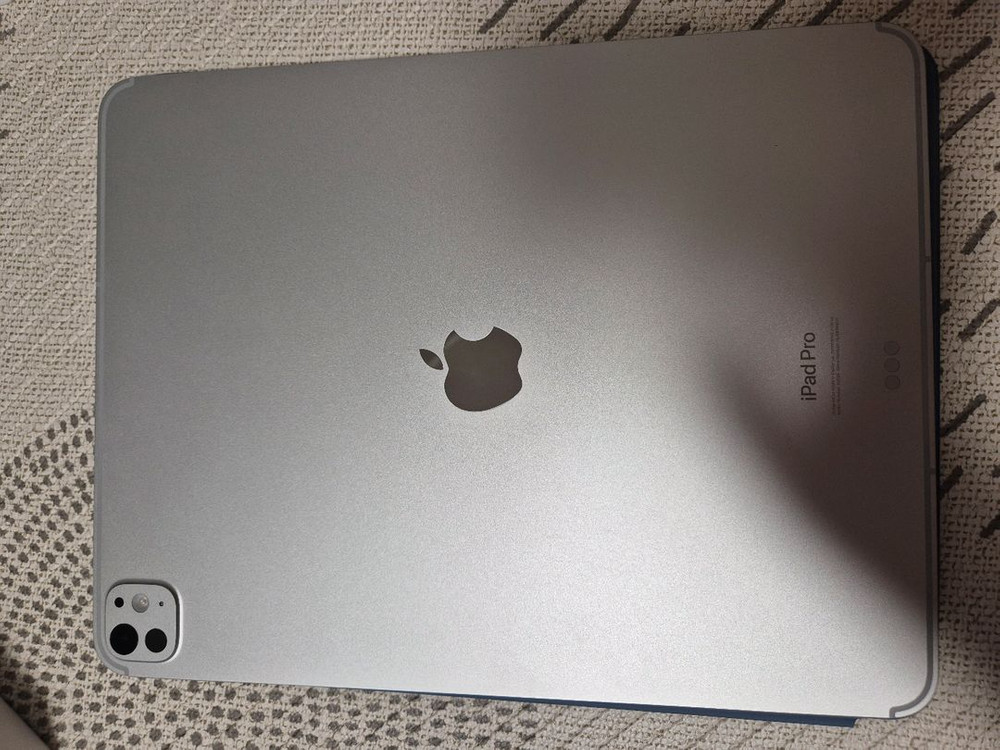 쿨거시 네고) 아이패드프로 13 M4 256 실버셀룰러 이미지