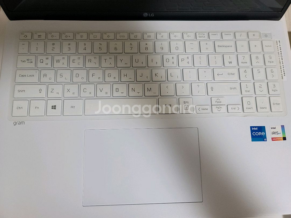 LG그램 16ZD90P-GX56K 512GB A급--2