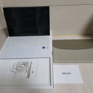 LG그램 16ZD90P-GX56K 512GB A급