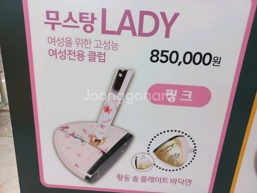 여성용 파크골프채--0