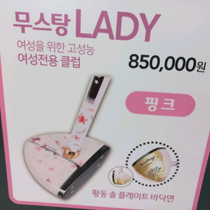 여성용 파크골프채