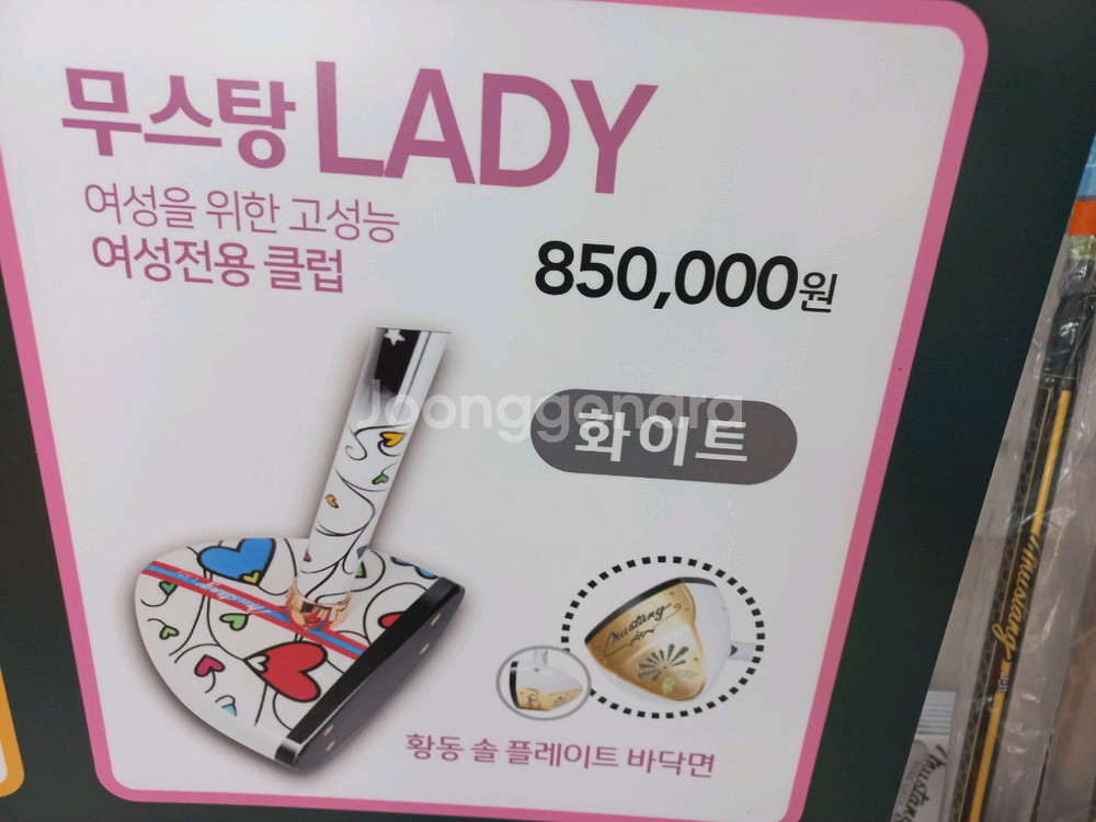 여성용 파크골프채--0