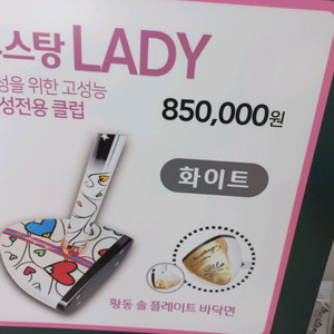 여성용 파크골프채