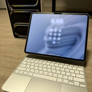 아이패드 13 PRO M4 256GB