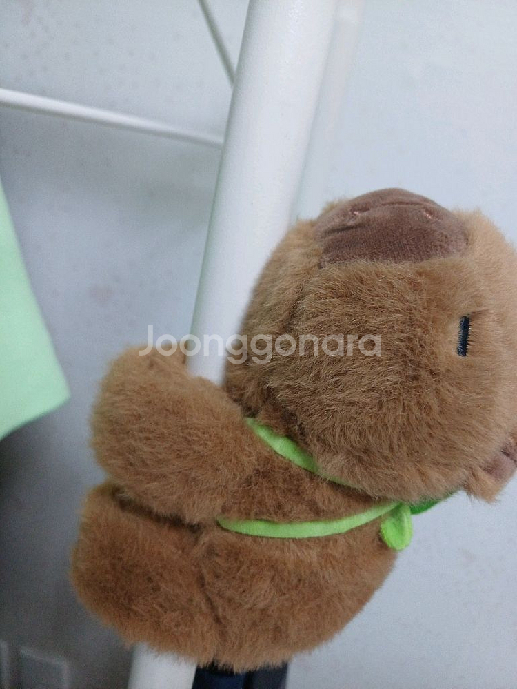 카피바라 인형--0