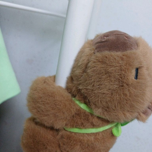 카피바라 인형