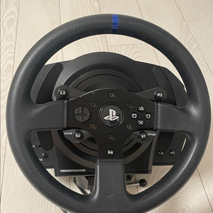 트러스트마스터 t300