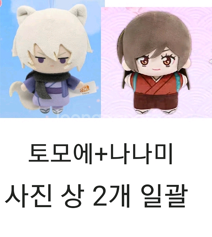 일괄) 오늘부터 신령님 나나미 토모에 누이 양도 오신령--0