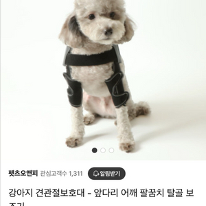 반려동물 관절보호대