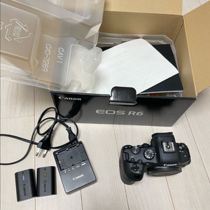 캐논 EOS R6