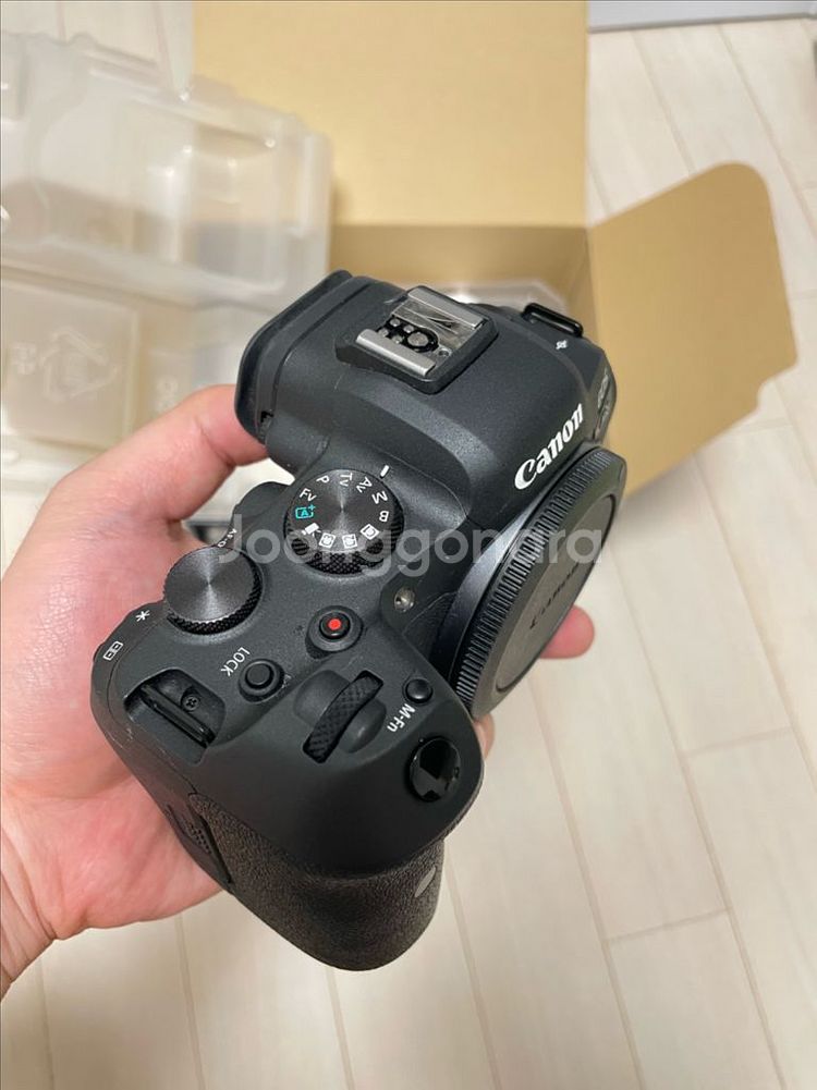 캐논 EOS R6--1