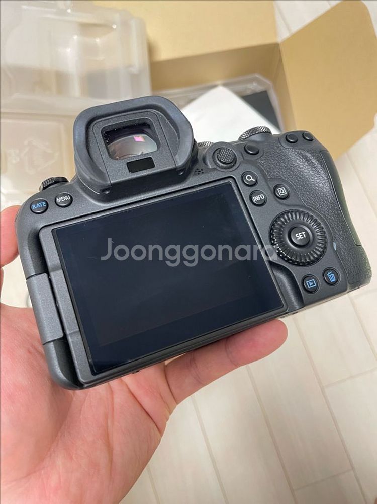 캐논 EOS R6--3