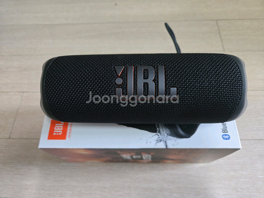 JBL 플립 6--1
