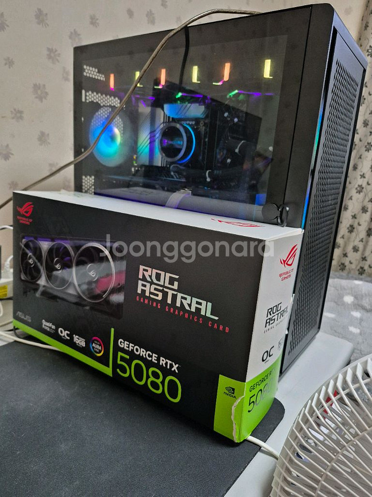 rtx5080 아스트랄--0
