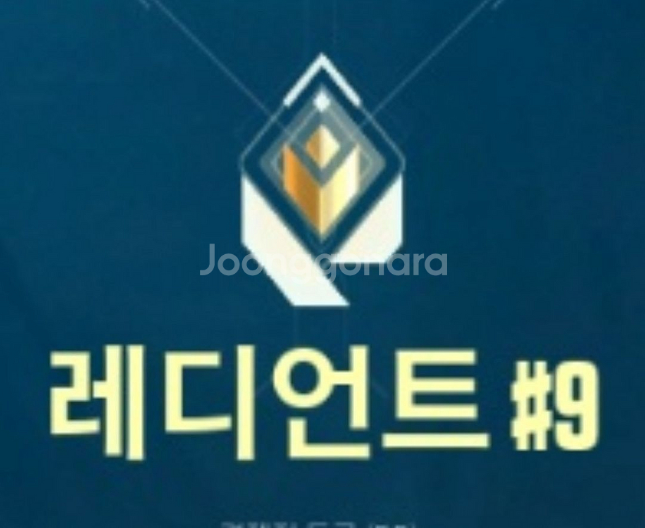 발로란트 제일 저렴하고 확실한 대리--0
