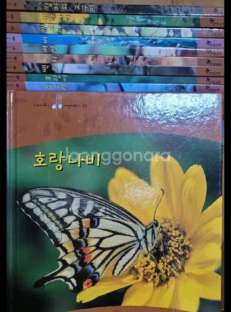한솔 가까이보는자연이야기--2