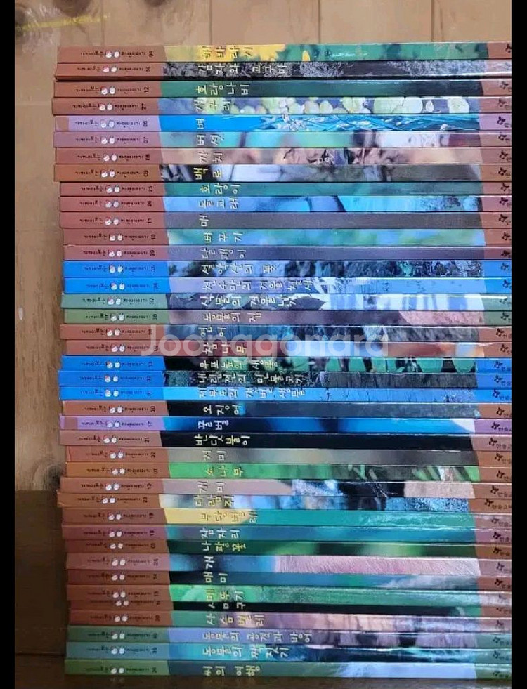 한솔 가까이보는자연이야기--0