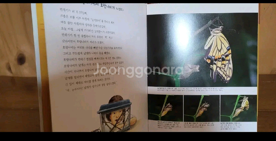 한솔 가까이보는자연이야기--3