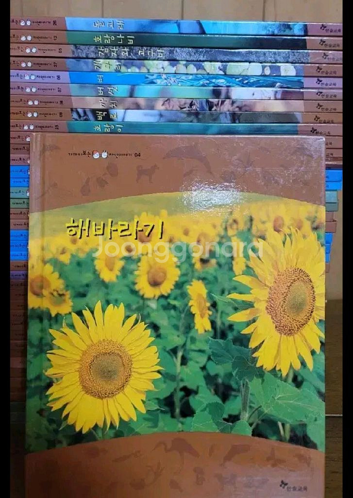 한솔 가까이보는자연이야기--4