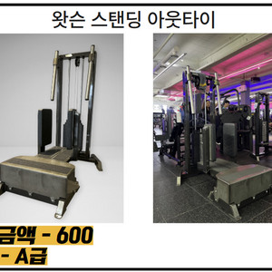[왓슨] 헬스 기구 스탠딩 아웃타이 판매합니다