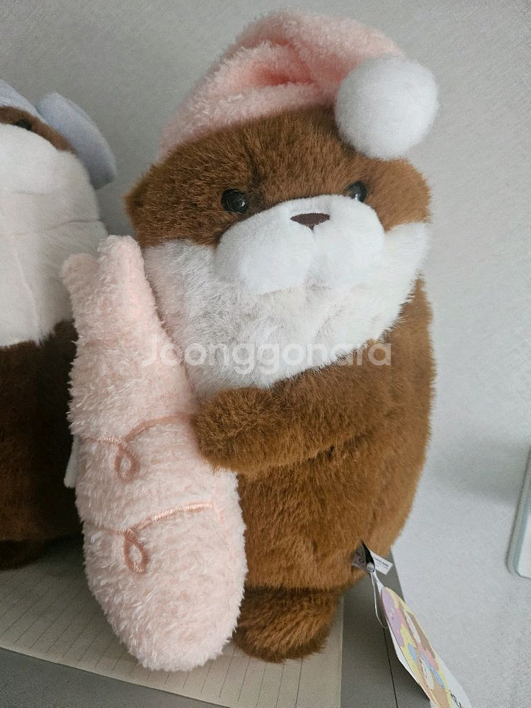 우소우소짱--0