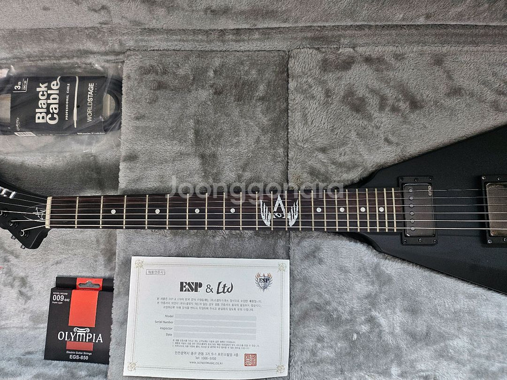 ESP BY LTD Vulture 기타--1