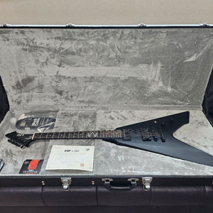 ESP BY LTD Vulture 기타