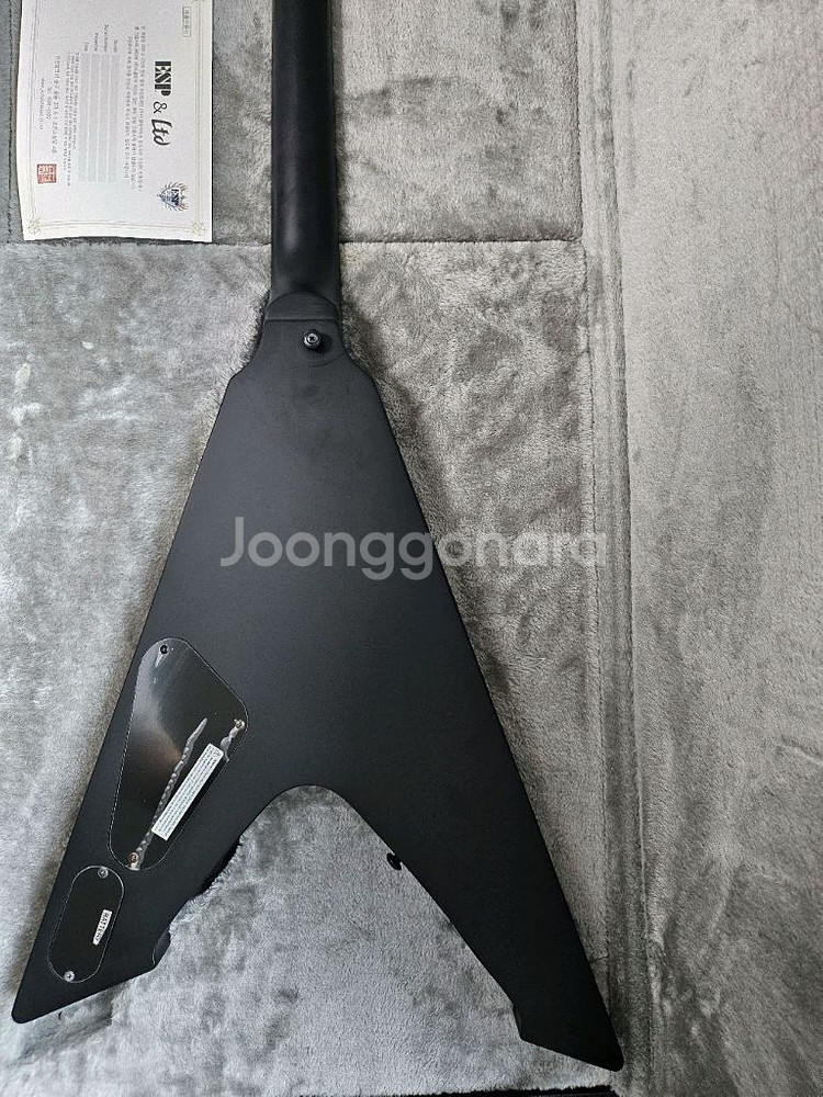 ESP BY LTD Vulture 기타--4