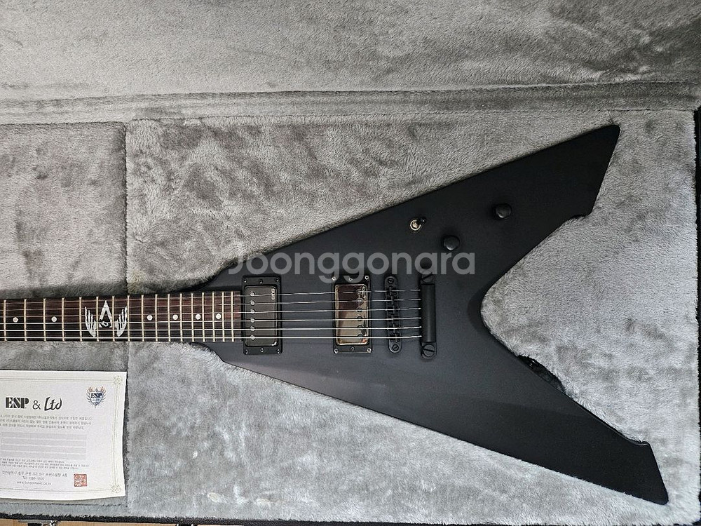 ESP BY LTD Vulture 기타--3