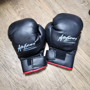 성인 권투 글로브