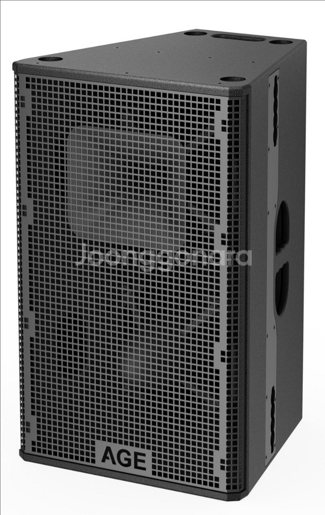 Age pro122x 패시브스피커 하이엔드스피커 입니--1