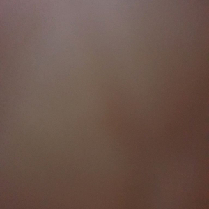 선불유심