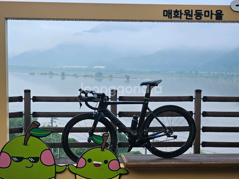 펠트 AR2 Di2 로드 자전거--3