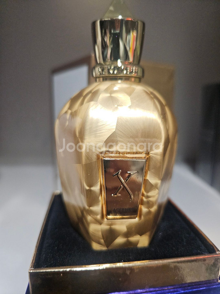 무배,새상품 제르조프 엑센트 오버도즈 EDP 100ML--3