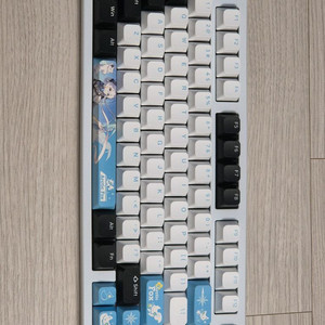 ATK V75X 극지여우축