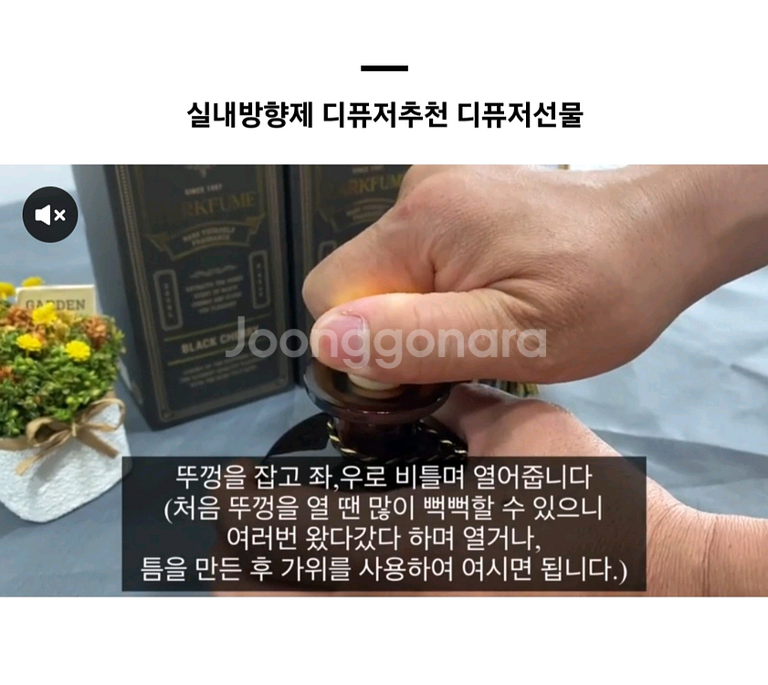 2개) 마크퓸 리미티드 에디션 디퓨저 250ml--4