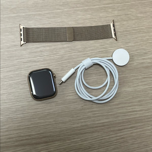 애플워치10 티타늄 46mm 골드 S급 밀레니즈루프