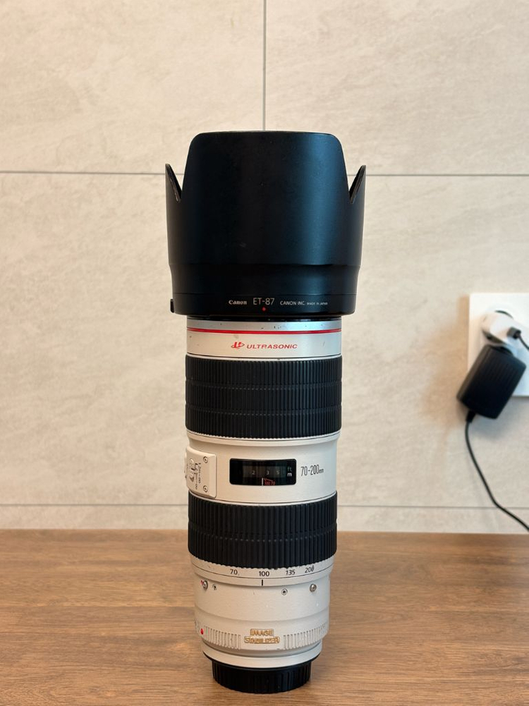 캐논 EF 70-200 F2.8L ii--2