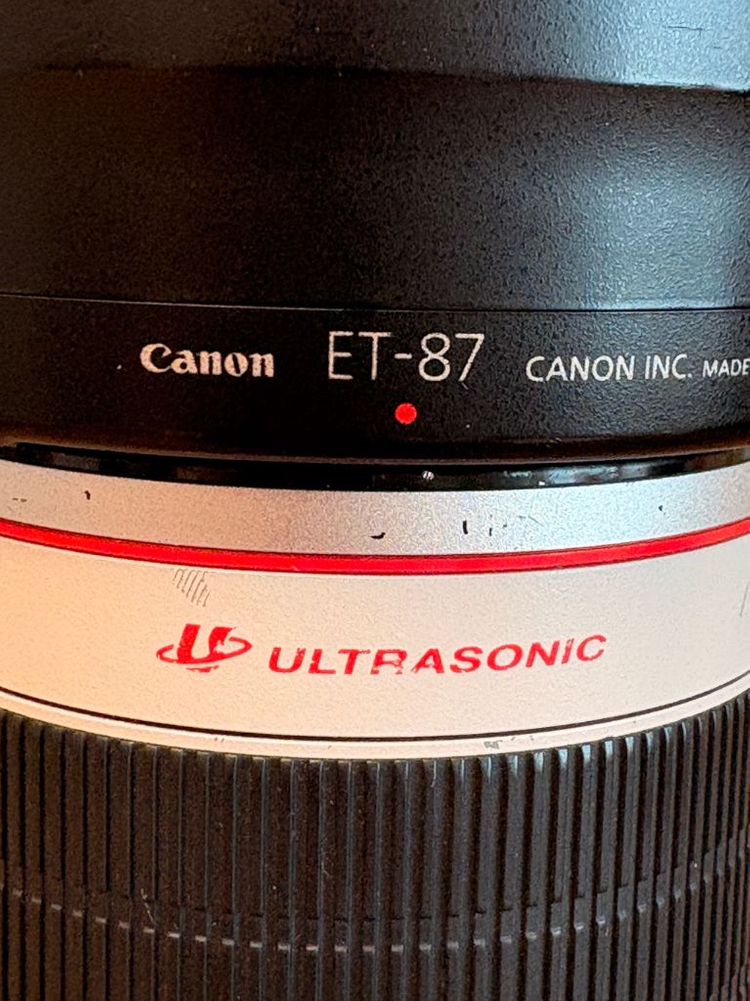 캐논 EF 70-200 F2.8L ii--6