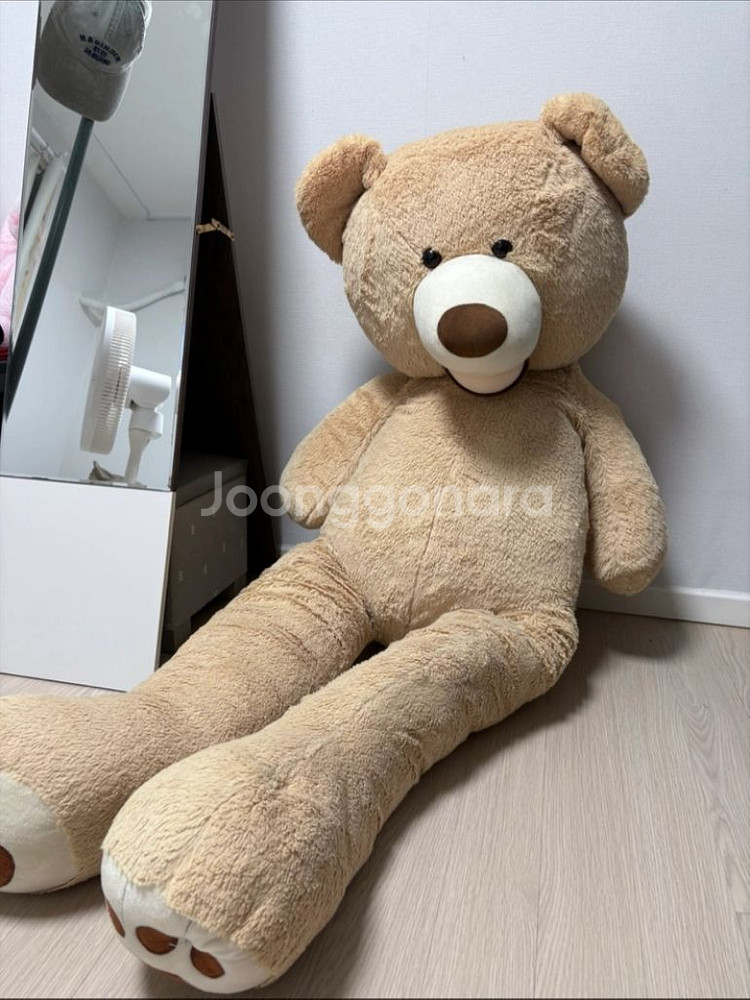 대왕 곰인형 판매 150cm--0