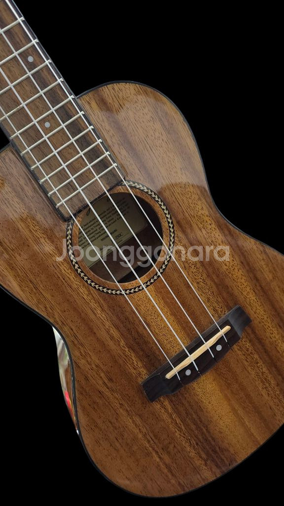 중급자 우쿨렐레 JK250C (새상품)--0