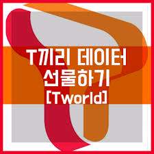 skt 데이터 2기가 팝니다