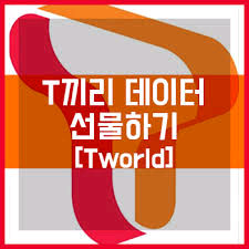 skt 데이터 2기가 팝니다