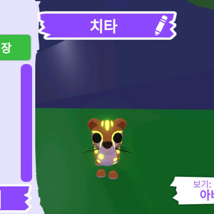 입양하세요 펫 메가 네온 치타 판매합니다