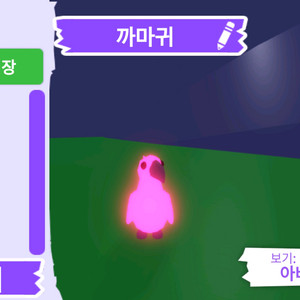 입양하세요 펫 메가 네온 까마귀(메까) 판매합니다
